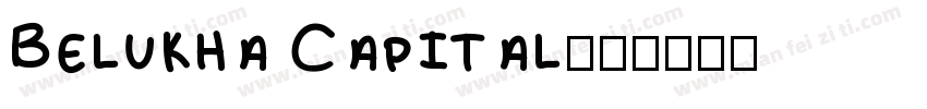 Belukha Capital字体转换